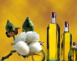 Cotton Seed Oil Manufacturer Supplier Wholesale Exporter Importer Buyer Trader Retailer in Nanded Maharashtra India